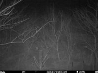 Apr 10 2025  0:34:20, #01
