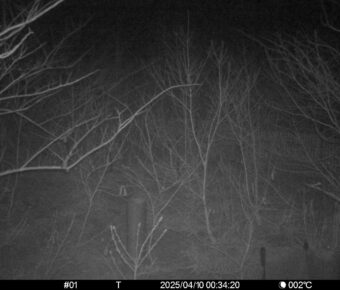 Apr 10 2025  0:34:20, #01