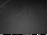 Apr 10 2025  3:34:20, #01