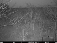Apr 10 2025 18:34:21, #01