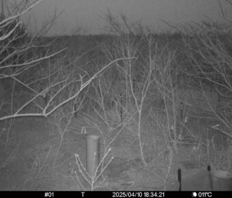 Apr 10 2025 18:34:21, #01