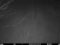 Apr 10 2025 21:34:20, #01