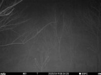 Apr 11 2025  0:34:19, #01