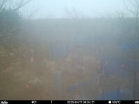 Apr 11 2025  6:34:21, #01