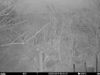 Apr 11 2025 18:34:21, #01