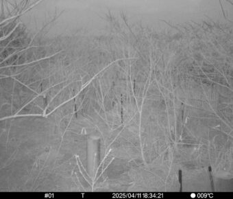 Apr 11 2025 18:34:21, #01