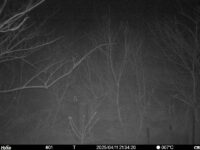 Apr 11 2025 21:34:20, #01