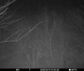 Apr 11 2025 21:34:20, #01