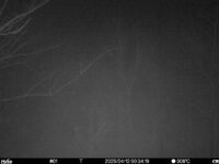 Apr 12 2025  0:34:19, #01