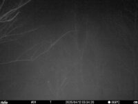 Apr 12 2025  3:34:20, #01