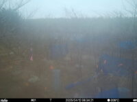 Apr 12 2025  6:34:21, #01
