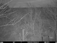 Apr 12 2025 18:34:20, #01
