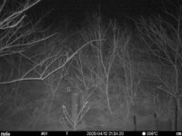 Apr 12 2025 21:34:20, #01