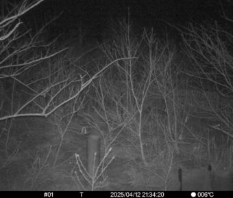 Apr 12 2025 21:34:20, #01