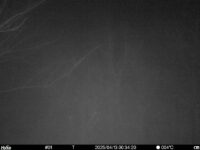 Apr 13 2025  0:34:20, #01