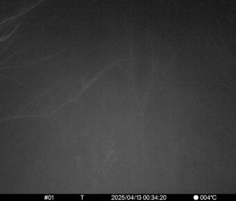 Apr 13 2025  0:34:20, #01