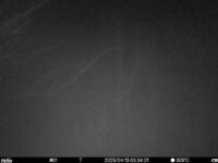 Apr 13 2025  3:34:20, #01