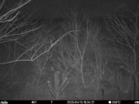 Apr 13 2025 18:34:21, #01