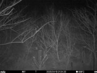 Apr 13 2025 21:34:19, #01