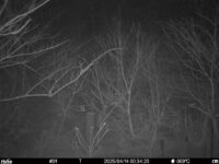 Apr 14 2025  0:34:20, #01