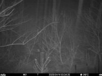 Apr 14 2025  3:34:20, #01