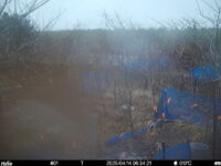 Apr 14 2025  6:34:21, #01