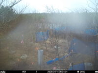 Apr 14 2025  9:34:21, #01