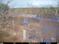 Apr 14 2025 12:34:21, #01