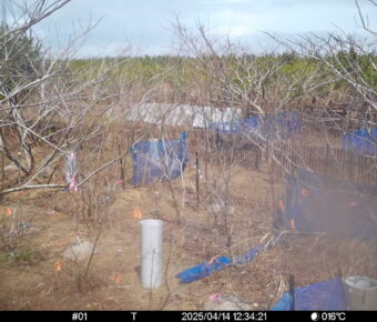 Apr 14 2025 12:34:21, #01
