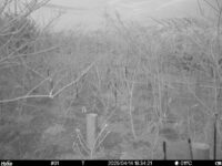 Apr 14 2025 18:34:21, #01