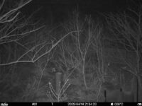 Apr 14 2025 21:34:20, #01