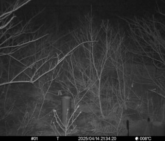 Apr 14 2025 21:34:20, #01