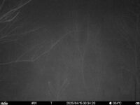 Apr 15 2025  0:34:20, #01