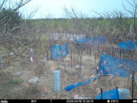 Apr 15 2025 15:34:21, #01