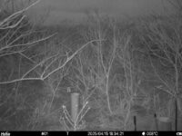Apr 15 2025 18:34:21, #01