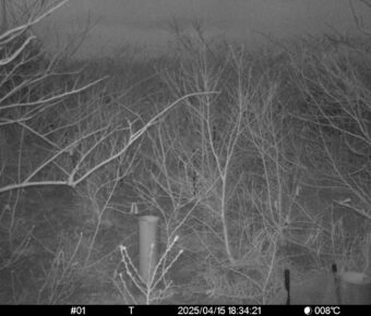 Apr 15 2025 18:34:21, #01