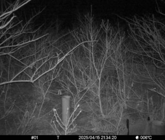 Apr 15 2025 21:34:20, #01