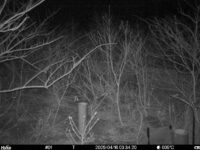 Apr 16 2025  3:34:20, #01