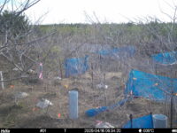 Apr 16 2025  6:34:20, #01