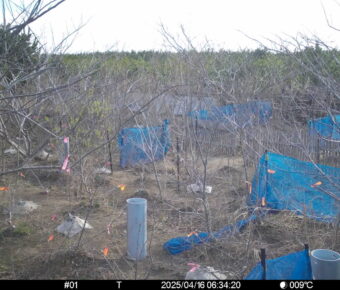 Apr 16 2025  6:34:20, #01