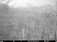 Apr 16 2025 18:34:21, #01