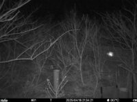Apr 16 2025 21:34:21, #01