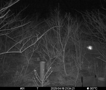 Apr 16 2025 21:34:21, #01
