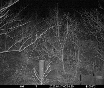 Apr 17 2025  0:34:20, #01