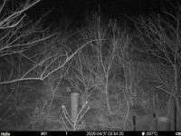 Apr 17 2025  3:34:19, #01
