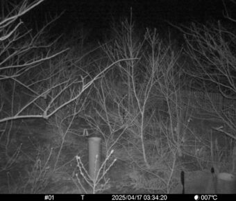 Apr 17 2025  3:34:19, #01