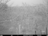 Apr 17 2025 18:34:20, #01