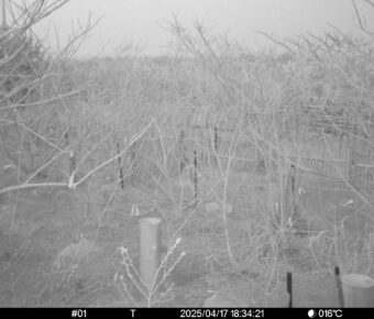Apr 17 2025 18:34:20, #01