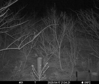 Apr 17 2025 21:34:21, #01