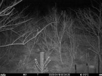 Apr 18 2025  0:34:20, #01